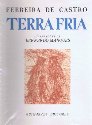 Terra fria : romance