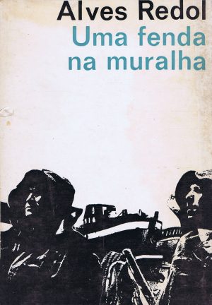 UMA FENDA NA MURALHA