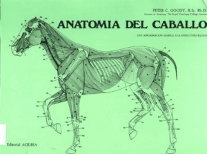 ANATOMIA DEL CABALLO - UNA APROXIMACION A LA ESTRUTURA EQUINA - PETER C. GOODY