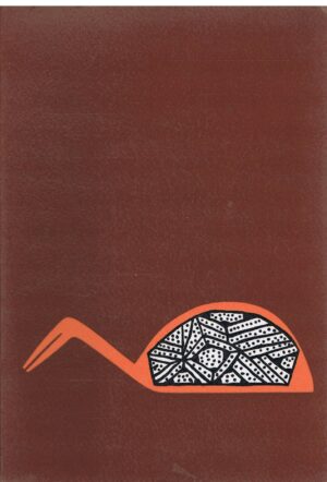 ARTE DO ÍNDIO BRASILEIRO