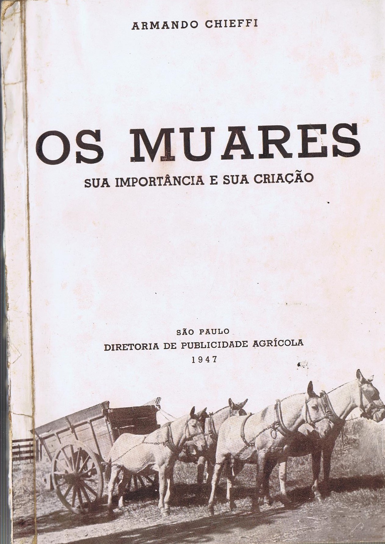 OS MUARES SUA IMPORTANCIA E A SUA CRIAÇÃO