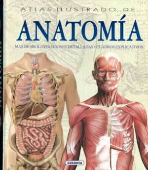 ATLAS ILUSTRADO DE ANATOMIA