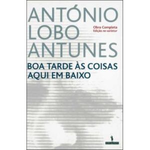 BOA TARDE ÀS COISAS AQUI EM BAIXO - ANTÓNIO LOBO ANTUNES - DOM QUIXOTE