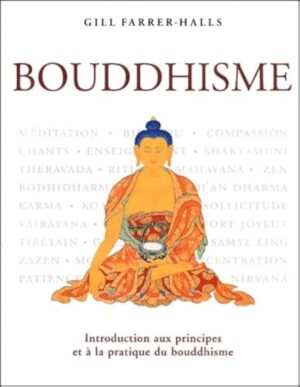 BOUDDHISME - INTRODUCTION AUX PRINCIPES ET À LA PRATIQUE DU BOUDDHISME - GILL FARRER-HALLS - SOLINE