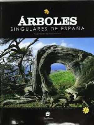ARBOLES