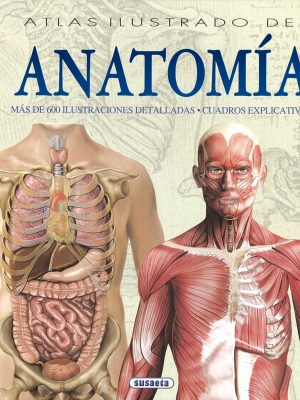 ATLASILUSTRADODEANATOMIA