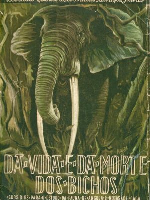 DAVIDAI