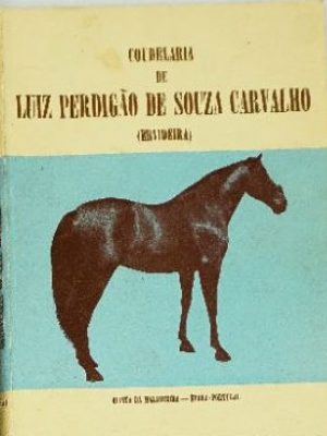 ERVIDEIRA2