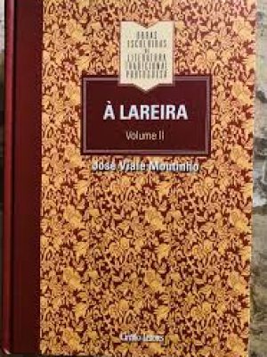 LAREIRA2