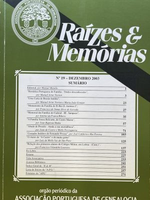 RAIMEM