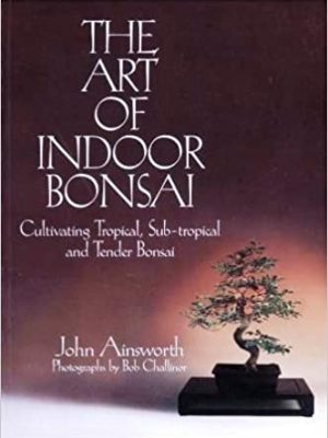 THEARTOFINDOOR