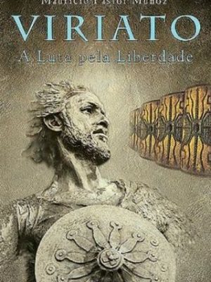 VIRLUT2