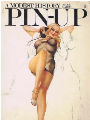 A MODEST HISTORY PIN-UP
