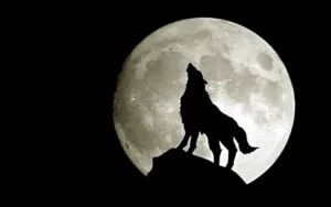QUANDO OS LOBOS UIVAM - JOSÉ MORAIS -