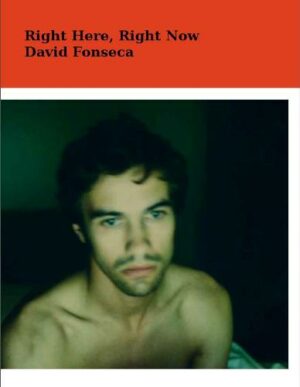 RIGHT HERE, RIGHT NOW - DAVID FONSECA  - TINTA DA CHINA