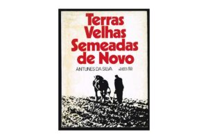 TERRAS VELHAS SEMEADAS DE NOVO